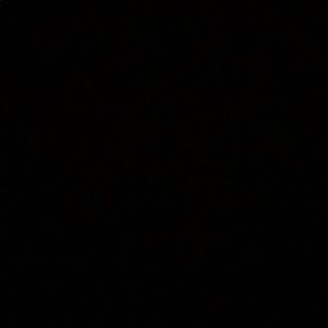 Meet your Posher, Reina